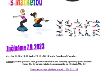 Cvičení na bosu