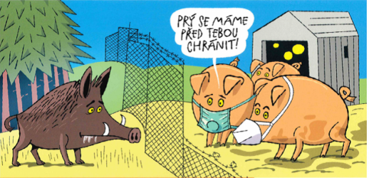 Africký mor prasat