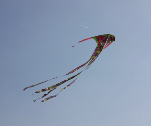 Drakiáda 2008