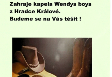 Posezení s country hudbou