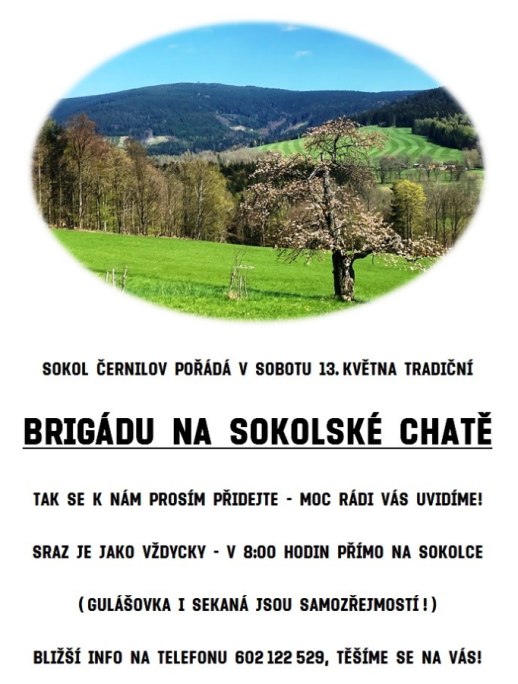 Brigáda na Sokolské chatě