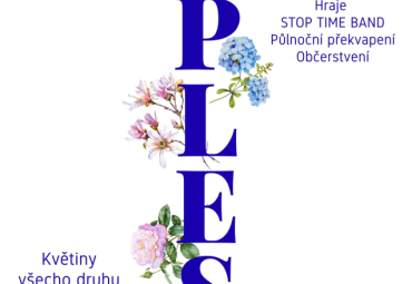 Ples ULITA Černilov