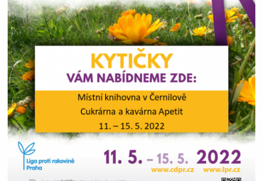 Český den proti rakovině - prodej žlutých kvítků