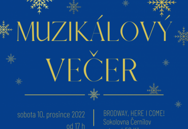 Muzikálový večer 10. 12.