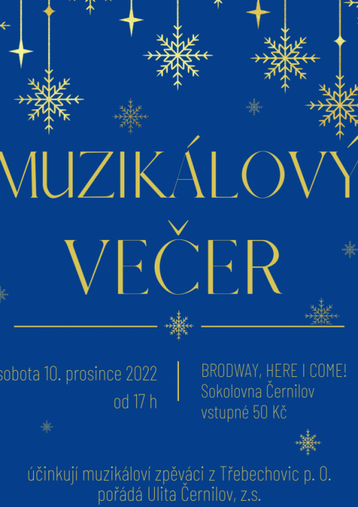 Muzikálový večer 10. 12.