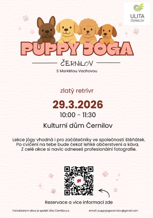 Pupy jóga se štěňátky zlatého retrívra