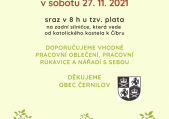 Sázení nových stromů v Černilově 27. 11. 2021