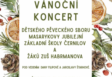 Vánoční koncert