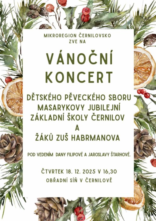Vánoční koncert