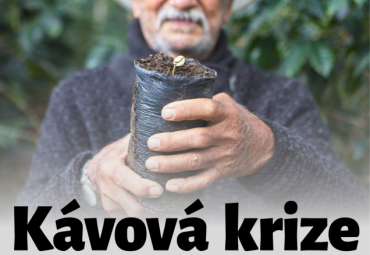 Výstava na stromech - Kávová krize