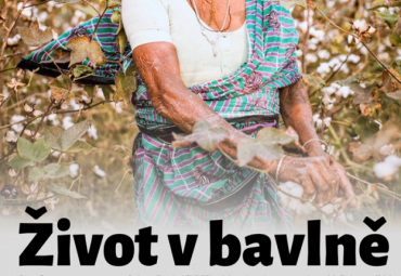 Výstava na stromech Život v bavlně
