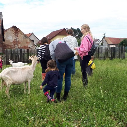 22.6.2020 - návštěva u koziček