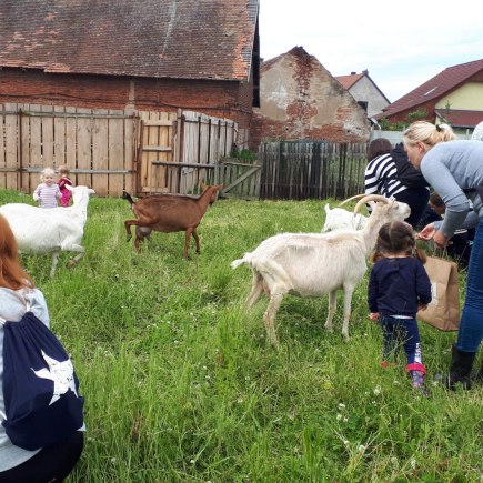 22.6.2020 - návštěva u koziček