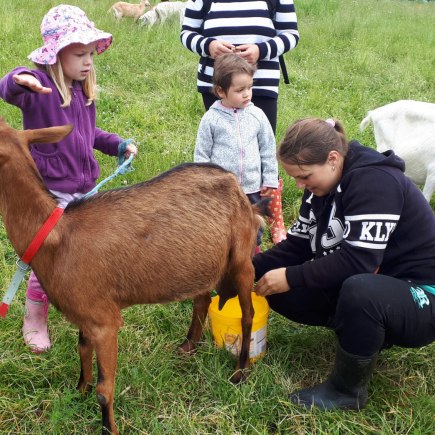 22.6.2020 - návštěva u koziček