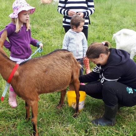 22.6.2020 - návštěva u koziček