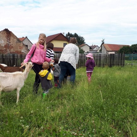 22.6.2020 - návštěva u koziček