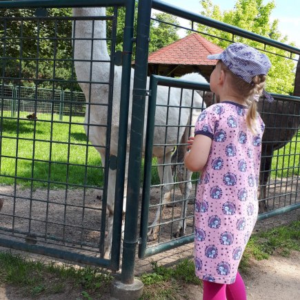 16.6.2020 - výlet do Častolovic