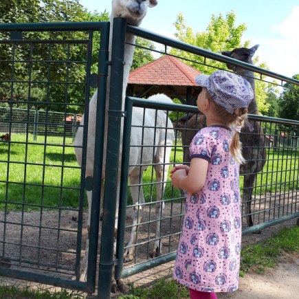 16.6.2020 - výlet do Častolovic