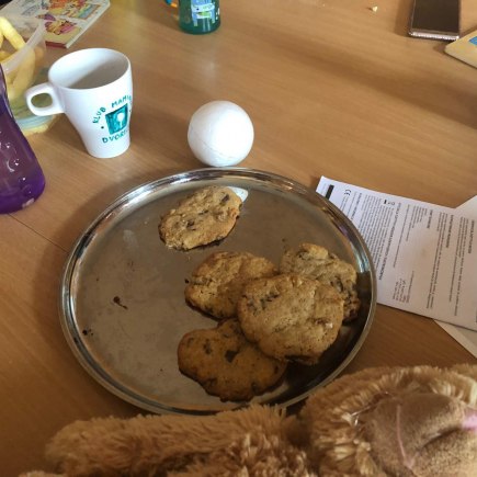 25.2.2020 - pečeme cookies