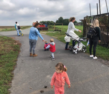 10.9.2019 - šipkovaná