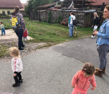 10.9.2019 - šipkovaná