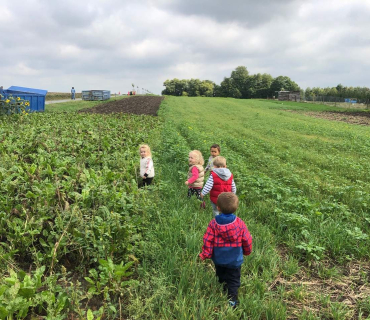 10.9.2019 - šipkovaná