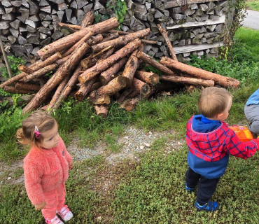 10.9.2019 - šipkovaná