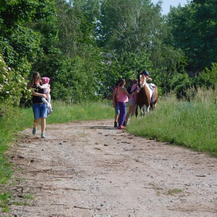 4.6.2019 - koníkový Dvoreček