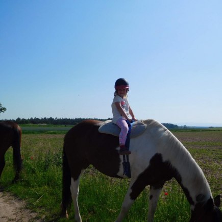 4.6.2019 - koníkový Dvoreček
