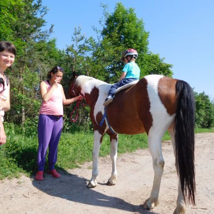 4.6.2019 - koníkový Dvoreček
