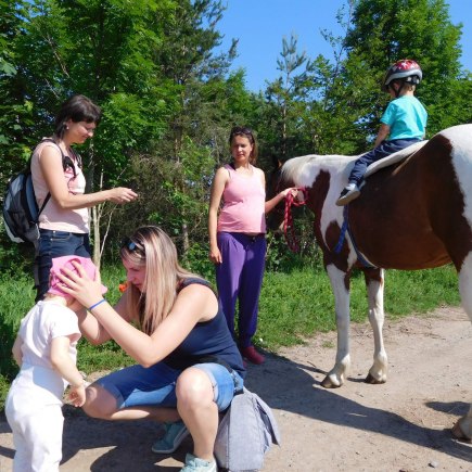 4.6.2019 - koníkový Dvoreček