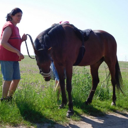 4.6.2019 - koníkový Dvoreček