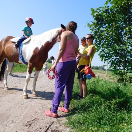 4.6.2019 - koníkový Dvoreček