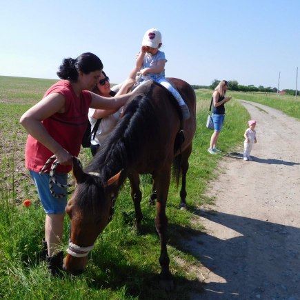 4.6.2019 - koníkový Dvoreček