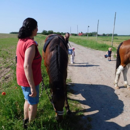 4.6.2019 - koníkový Dvoreček