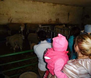 16.4.2019 - Hledání vajíček a výprava za ovečkami