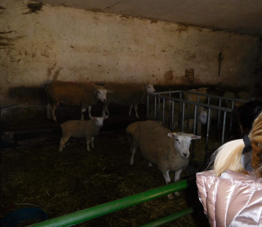 16.4.2019 - Hledání vajíček a výprava za ovečkami