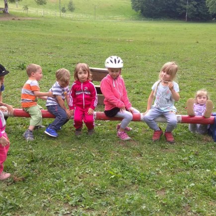 Dvoreček 5.6.2018 - Sokolská chata