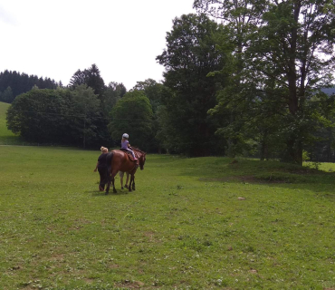 Dvoreček 5.6.2018 - Sokolská chata