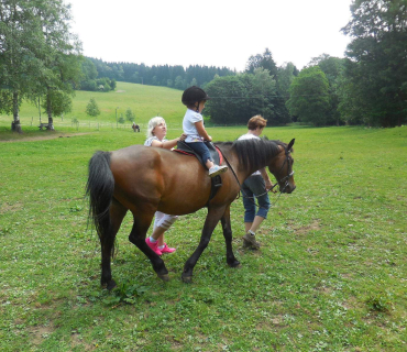 Dvoreček - koníci Deštné 5.6.2018