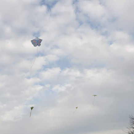 Drakiáda 22.10.2017