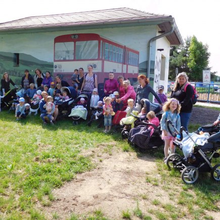 Dvoreček 13.6.2017 - Častolovice