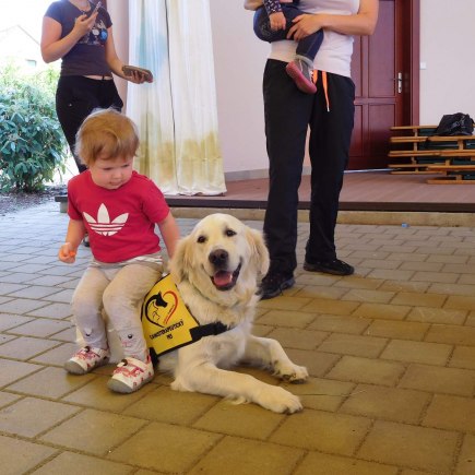 Dvoreček 6.6. 2017 - Návštěva canisterapeutického pejska