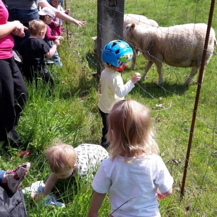 Dvoreček 16.5.2017 - Návštěva k myslivcům a na ovečky