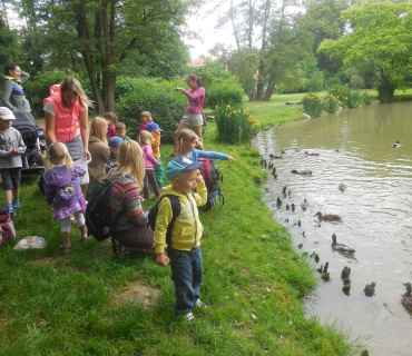 Dvoreček 14.6.2016 Častolovice_II.