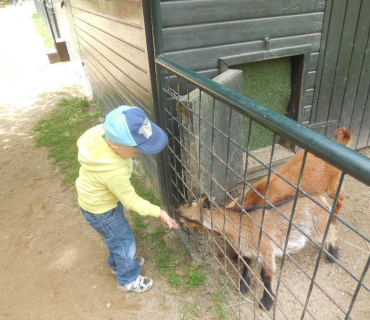 Dvoreček 14.6.2016 Častolovice_II.