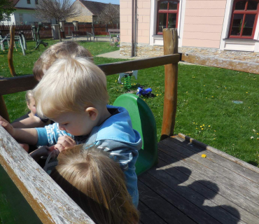 Dvoreček 10.5.2016 Motýlkování