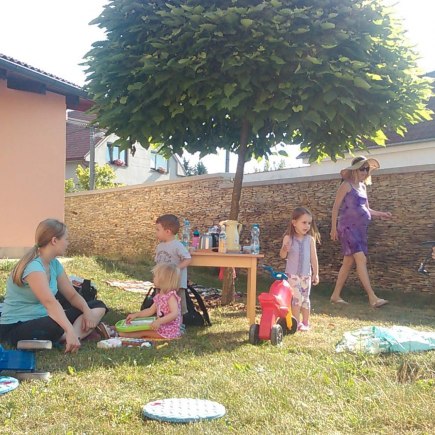 Dvoreček 4.8.2015 piknikový