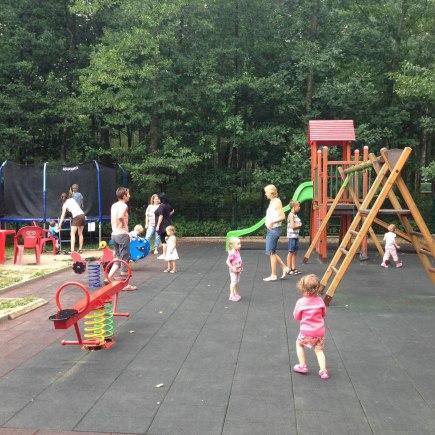 Dvoreček 21.7.2015 Rytířské hradiště