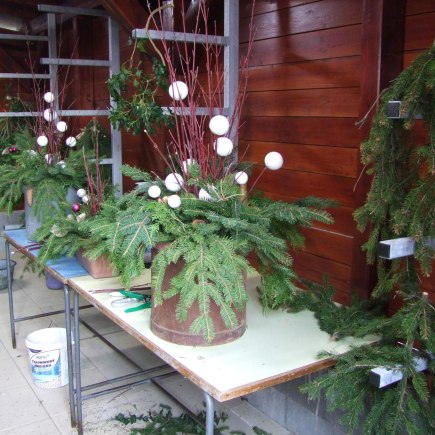10. Adventní trh v KSD Černilov 30.11. 2018